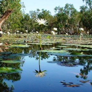 Abbott flags bill to overturn Wild Rivers laws