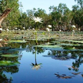 Cape York activists gatecrash Wilderness party