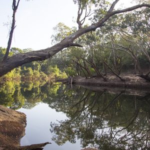 Cape York’s Wild Rivers victory